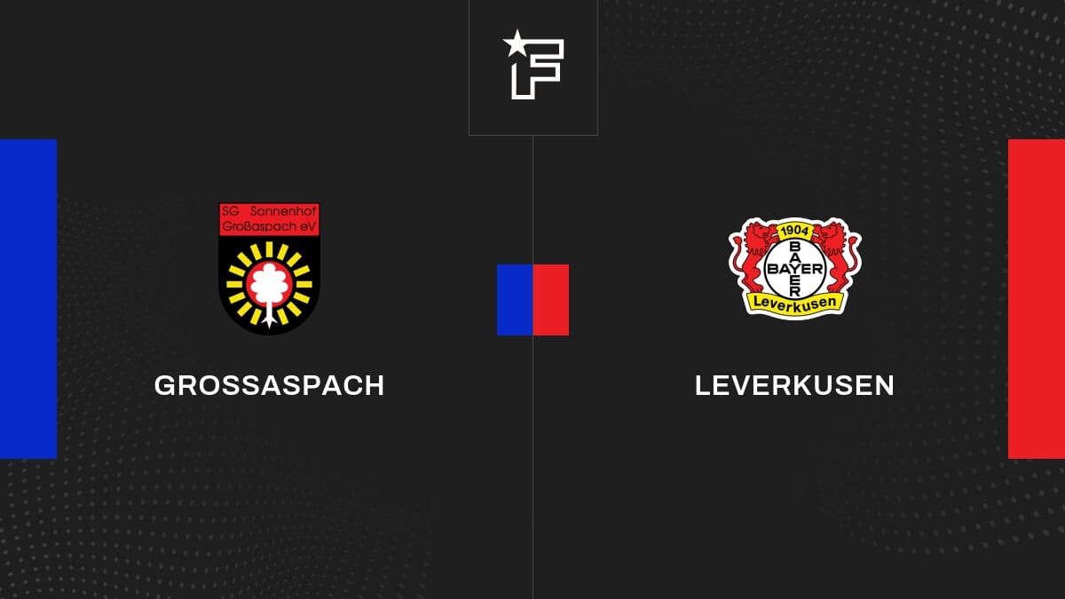 Video, alle Tore des Spiels zwischen Großaspach und Leverkusen