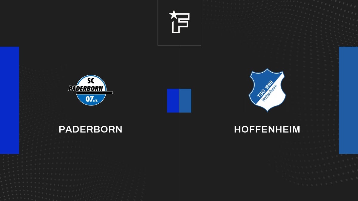 Video, alle Tore der Partie zwischen Paderborn und Hoffenheim