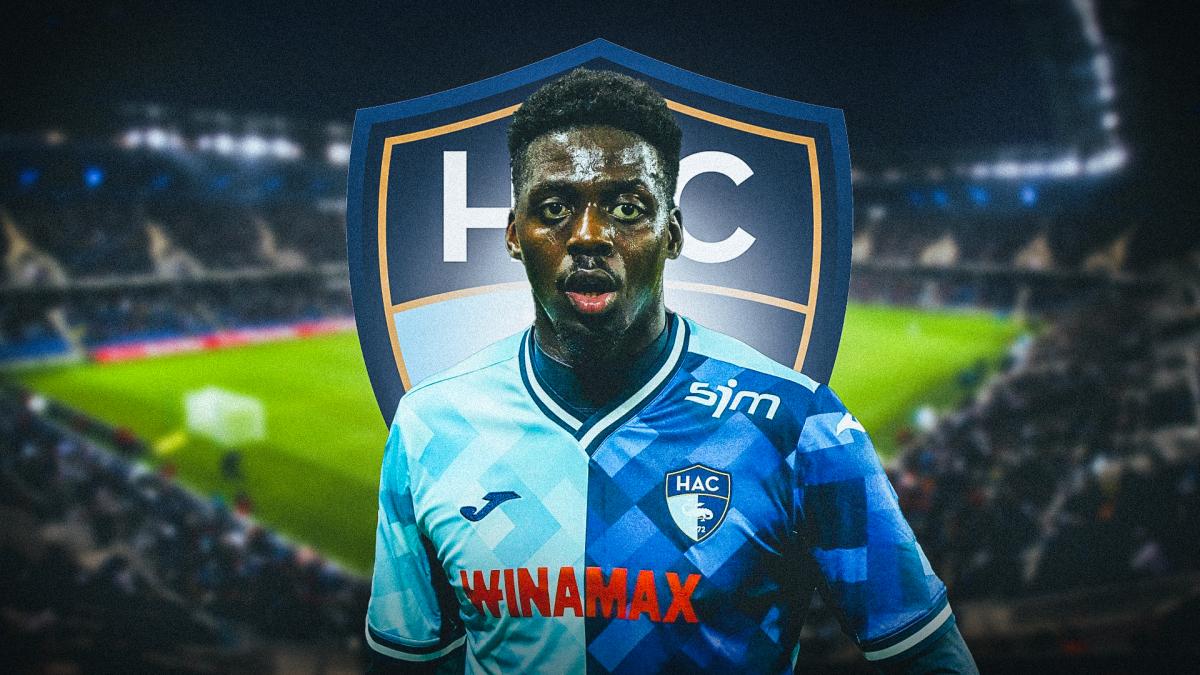 Letzte Transfernews Le Havre