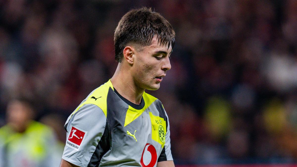 Transfer-News Borussia Dortmund