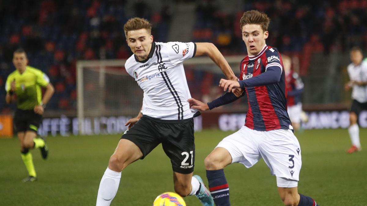 Transfer-News