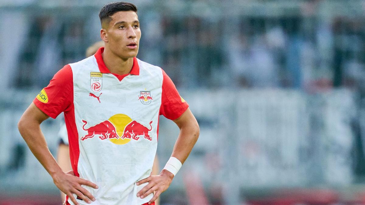 Letzte Transfernews VfL Wolfsburg