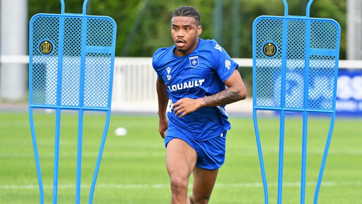 Letzte Transfernews Magdeburg