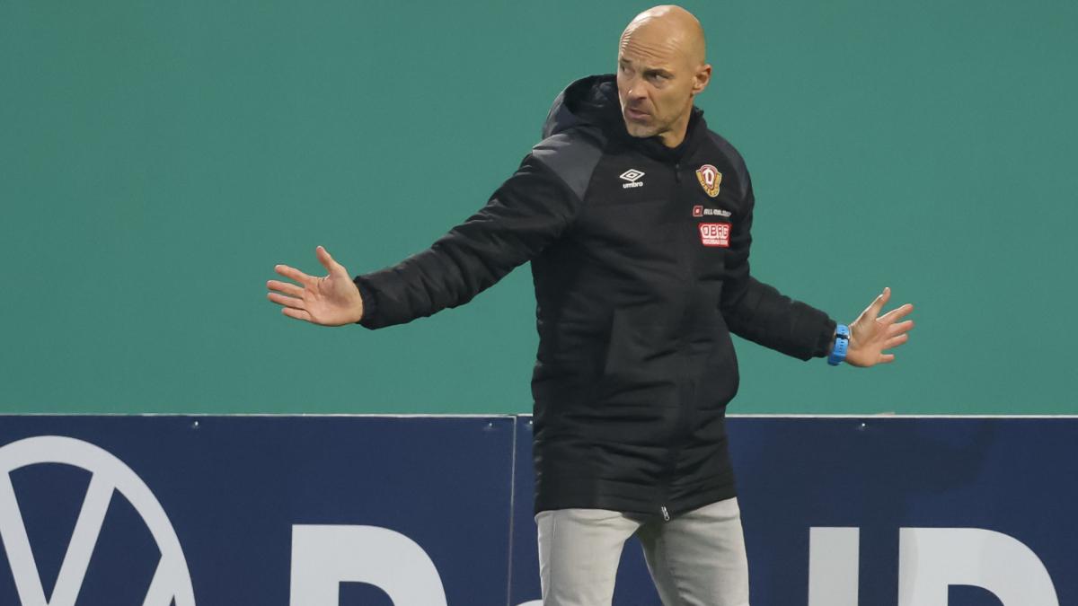 Letzte Transfernews Dynamo Dresden