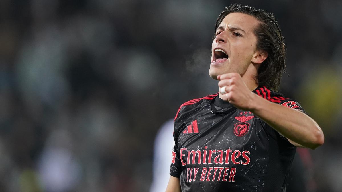 Transfer-News