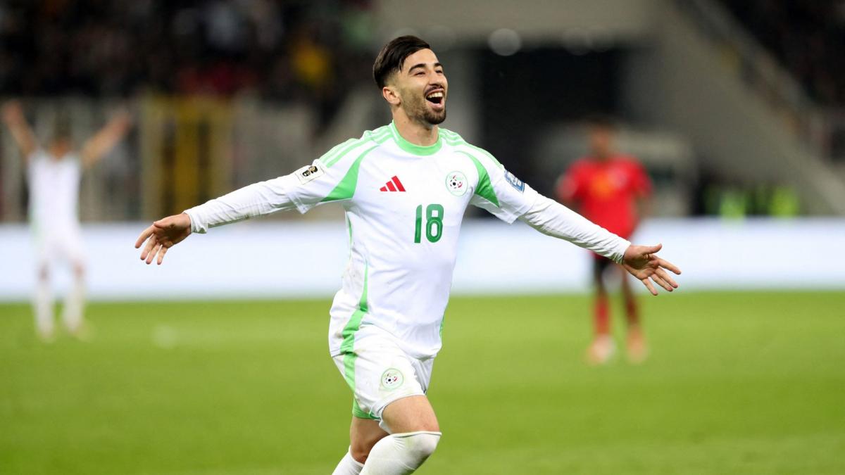 Transfer-News VfL Wolfsburg