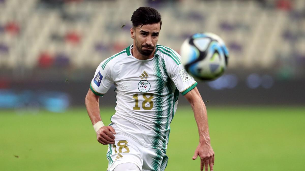 Transfer-News