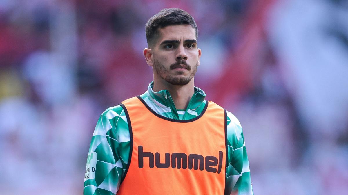 Letzte Transfernews RB Leipzig