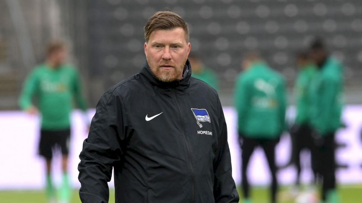 Letzte Transfernews Hertha Berlin