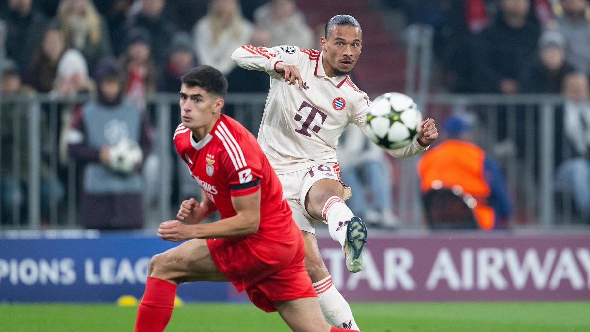 Letzte Transfernews Benfica 