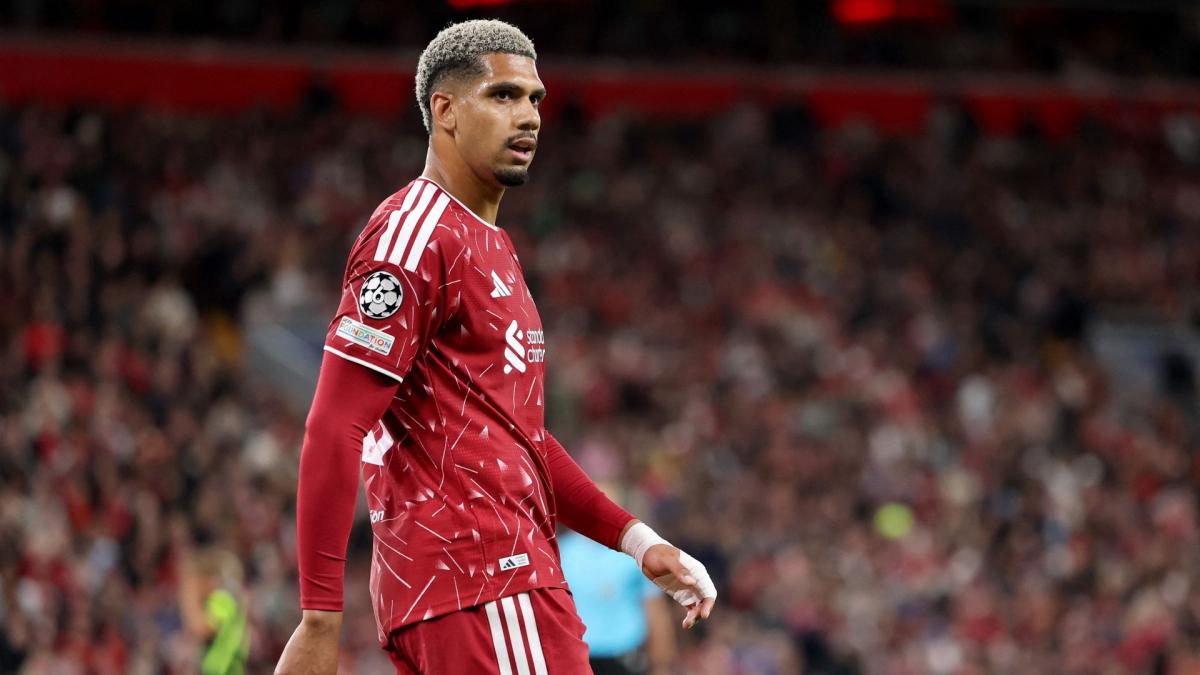 Transfer-News