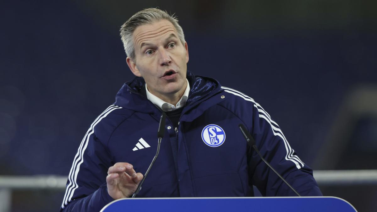 Letzte Transfernews FC Schalke 04