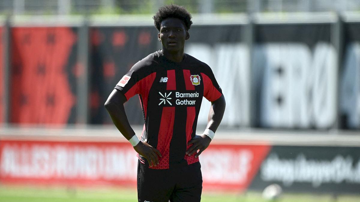 Transfer-News