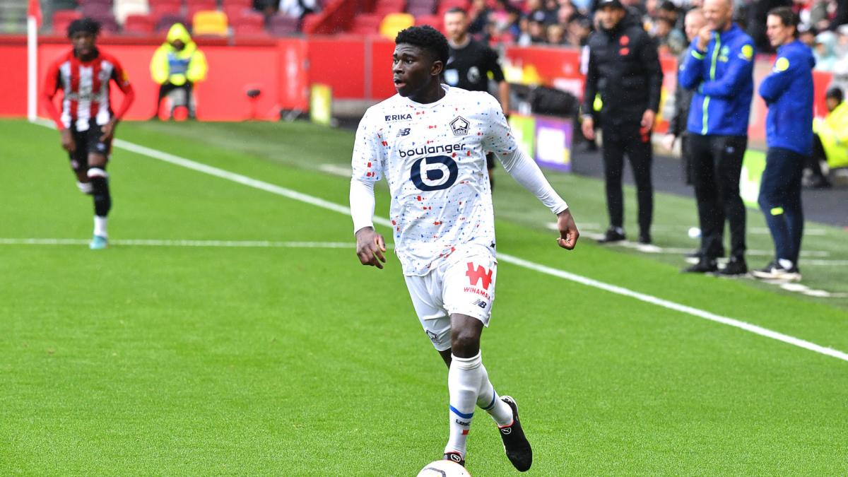 Letzte Transfernews Lille