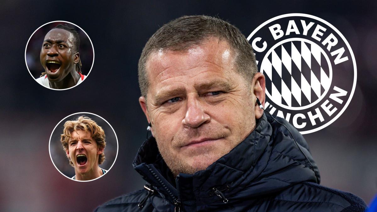 Transfer-News