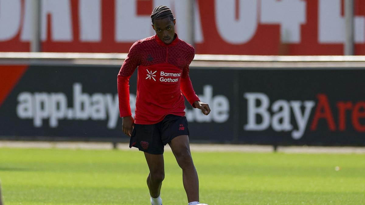 Transfer-News Bayer 04 Leverkusen
