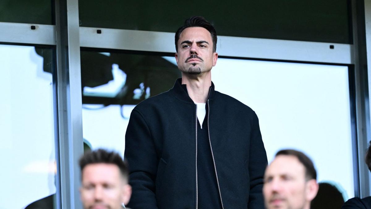 Transfer-News VfL Wolfsburg