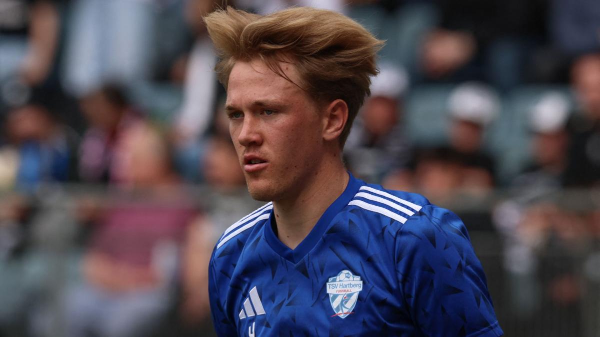 Transfer-News