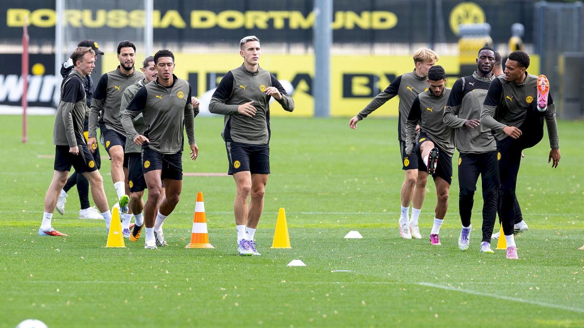 Transfer-News Borussia Dortmund