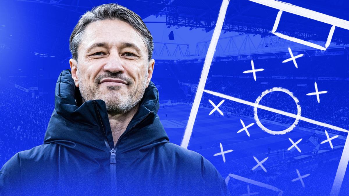 Letzten Transfer-News