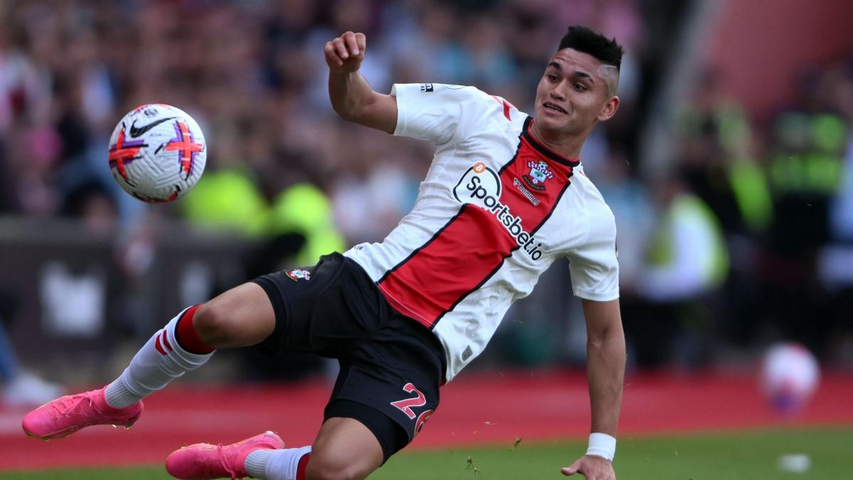 Letzte Transfernews Southampton