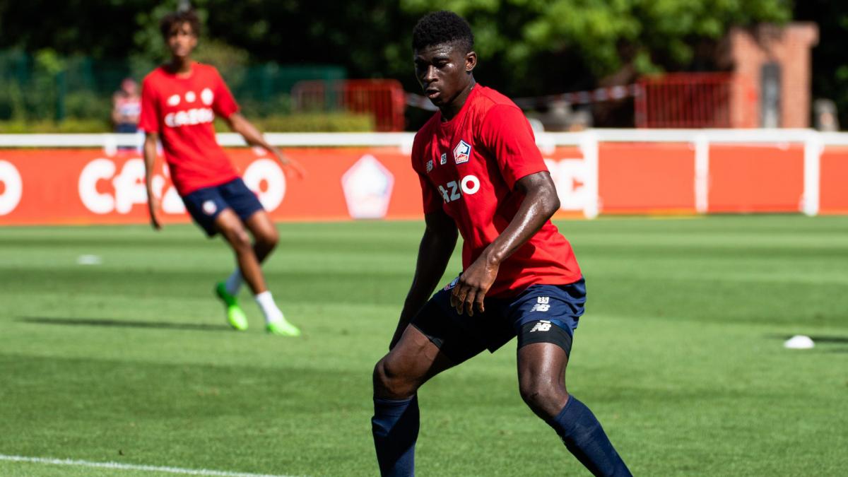 Letzte Transfernews Lille