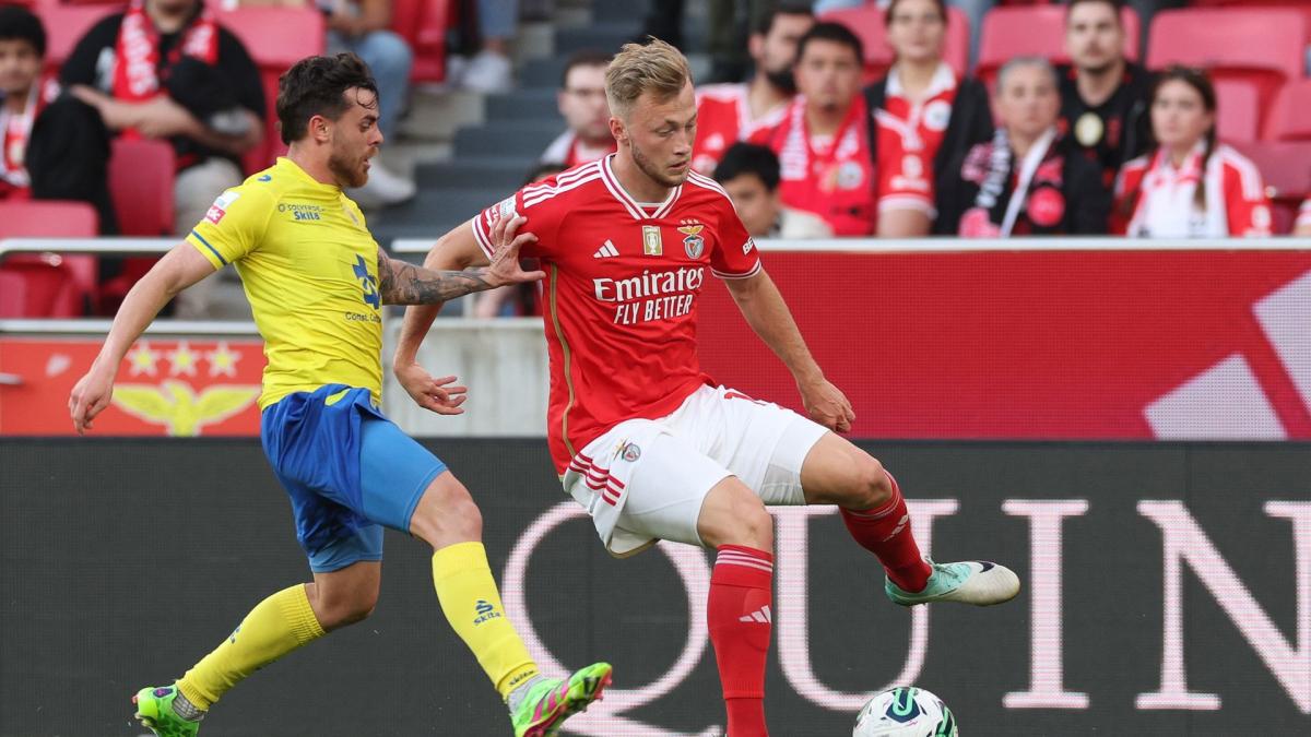 Letzte Transfernews Benfica 