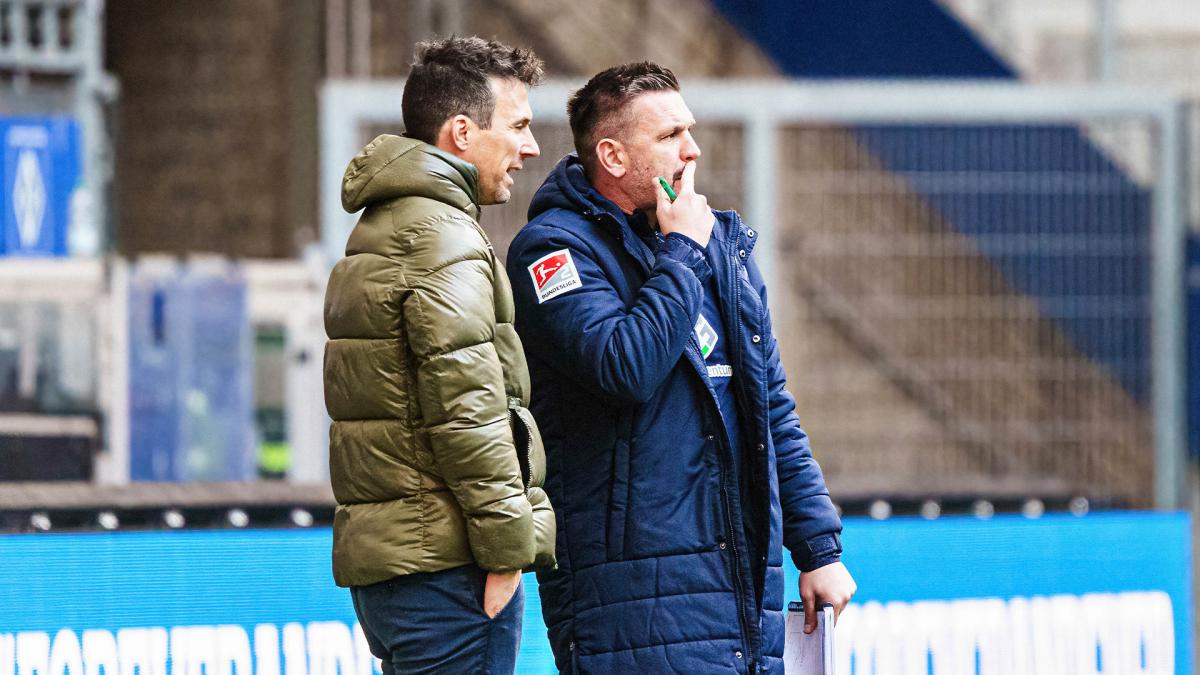 Letzten Transfer-News