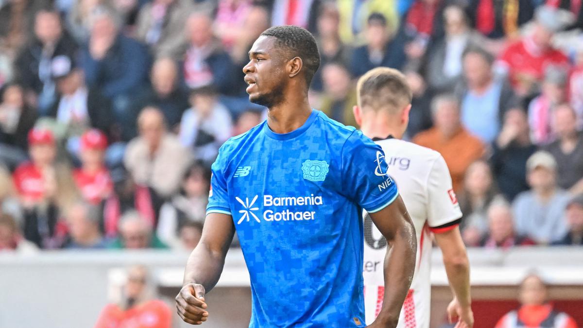 Transfer-News Bayer 04 Leverkusen