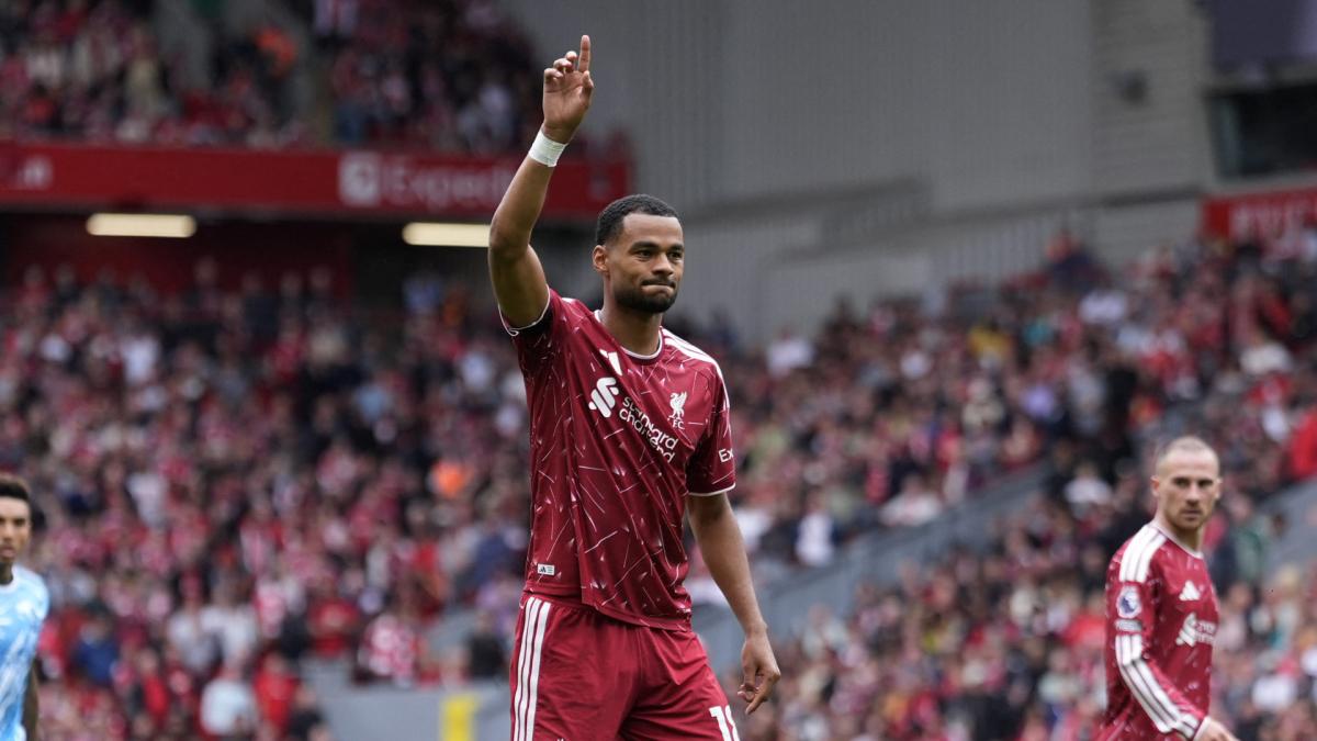 Transfer-News