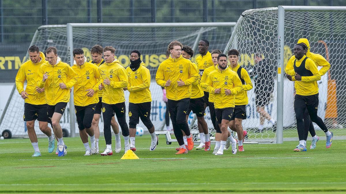 Letzte Transfernews Borussia Dortmund
