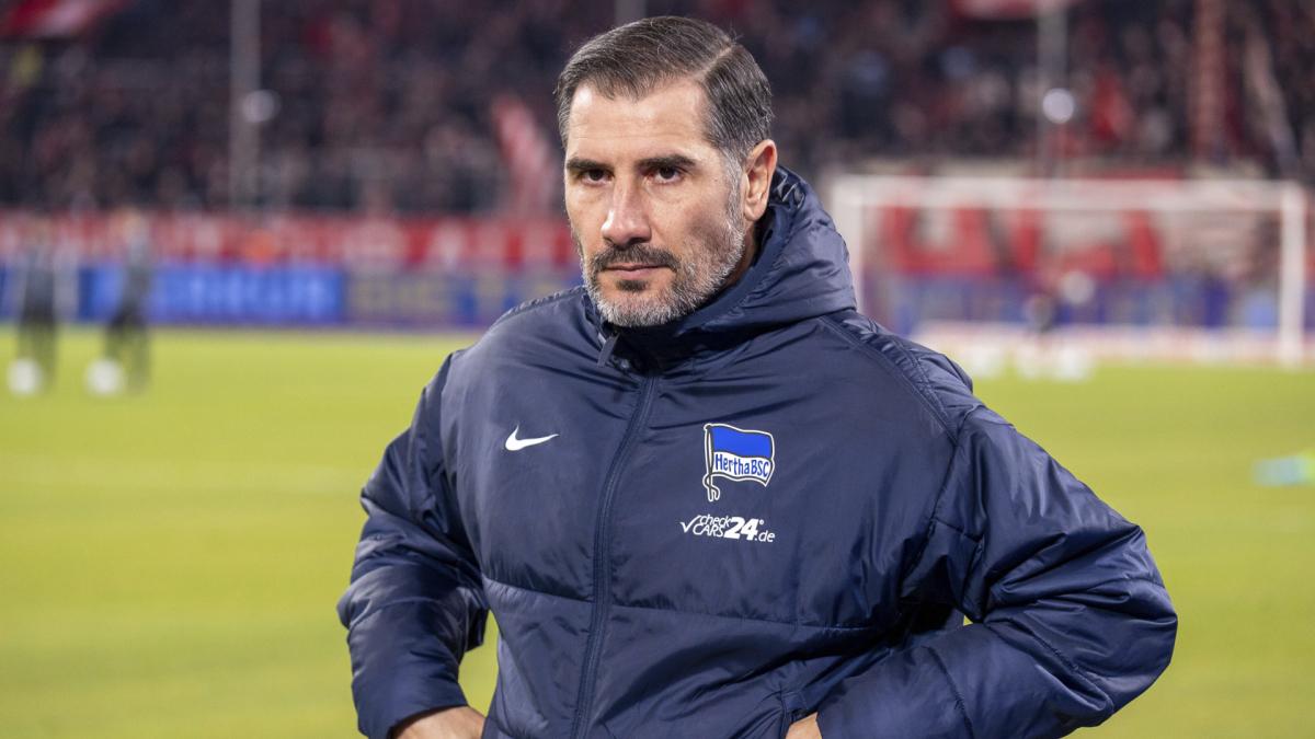 Gut-verhandelt-So-viel-kostet-Hertha-das-Fi-l-Aus