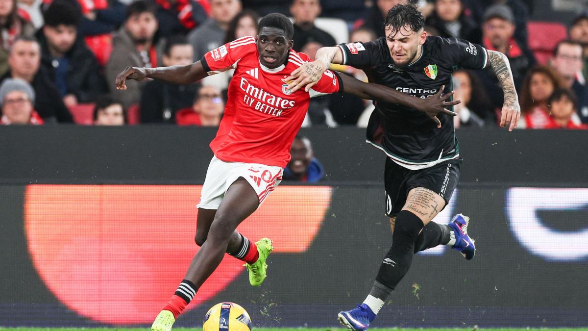 Benfica-Juwel-Banjaqui-vor-30-Millionen-Wechsel-