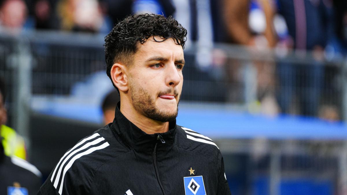 HSV-Gute-Nachrichten-von-Elfadli