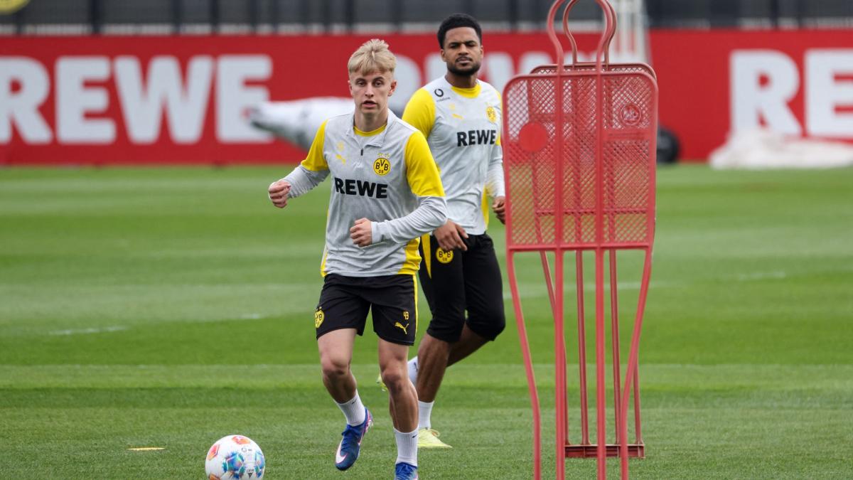 Letzte Transfernews Borussia Dortmund