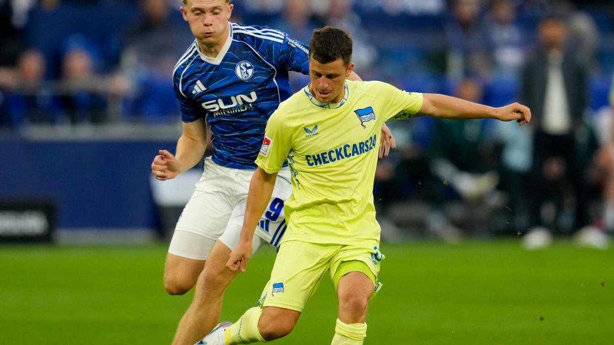 Transfer-News Hertha Berlin