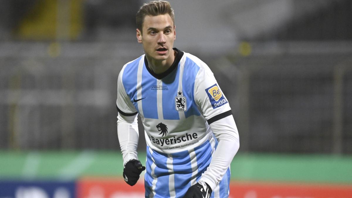 Letzte Transfernews Hansa Rostock