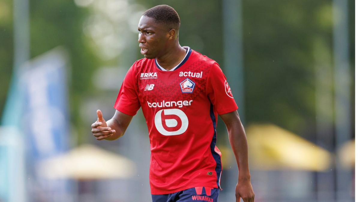 Letzte Transfernews Lille