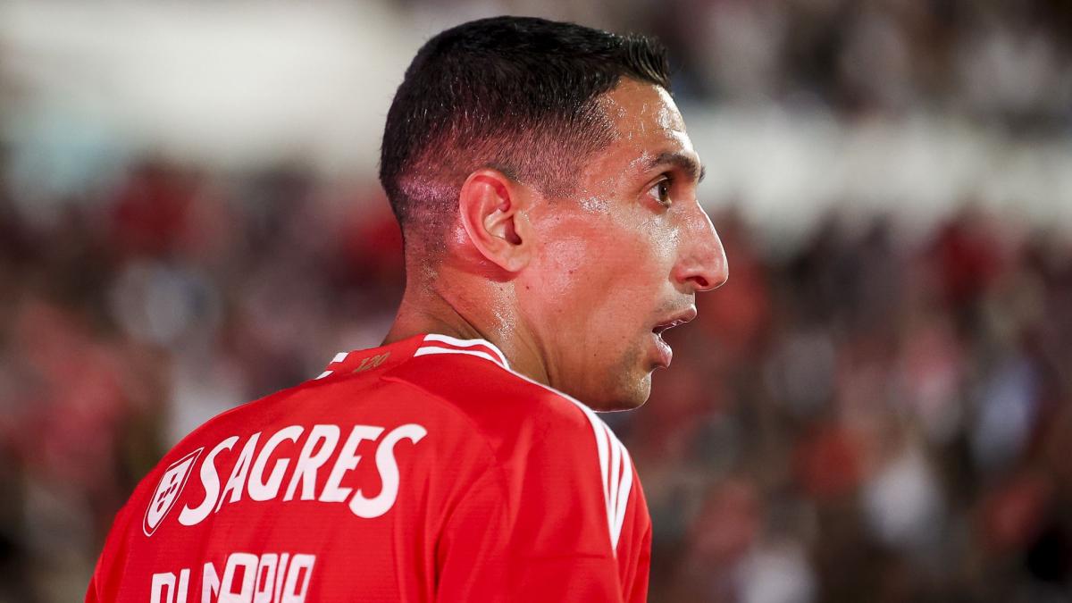 Transfer-News Benfica 