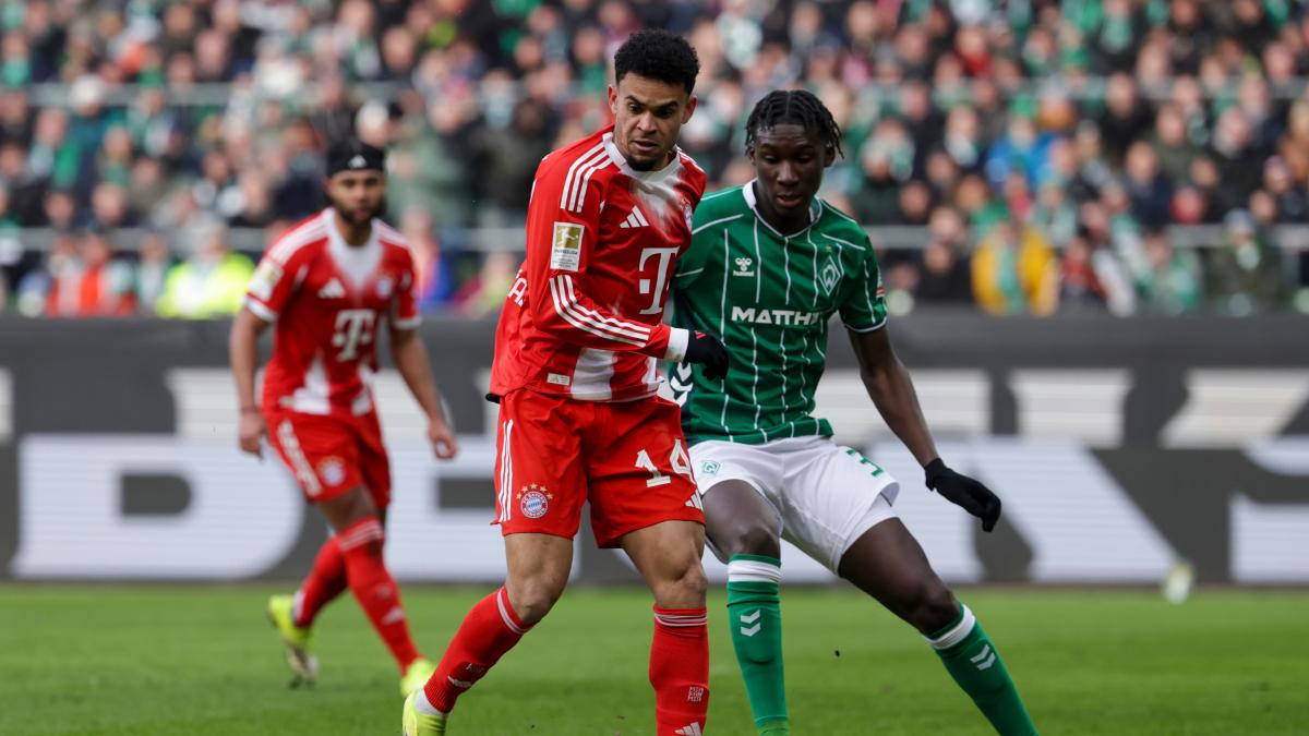 Transfer-News