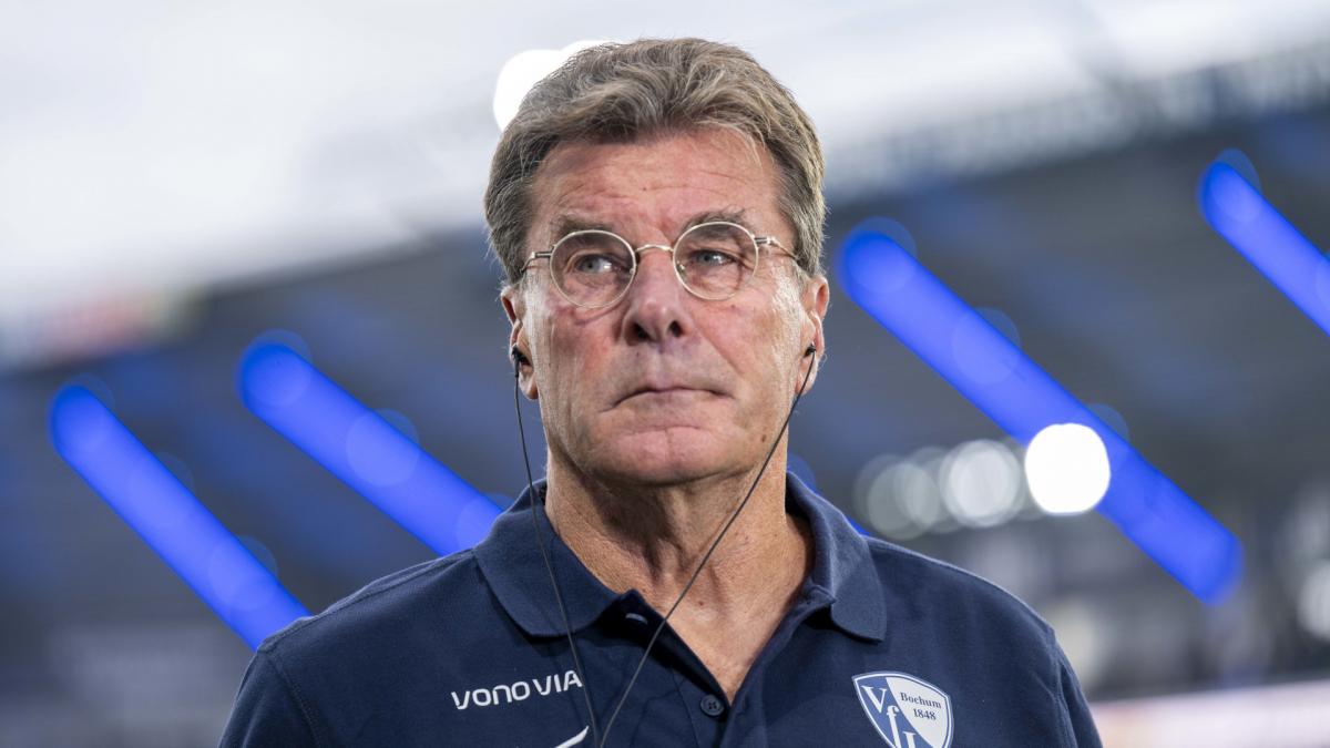 Doppelter-Paukenschlag-Bochum-feuert-Hecking-Dufner