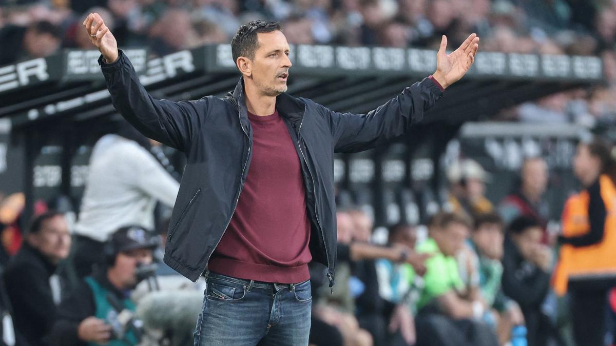 Transfer-News Eintracht Frankfurt
