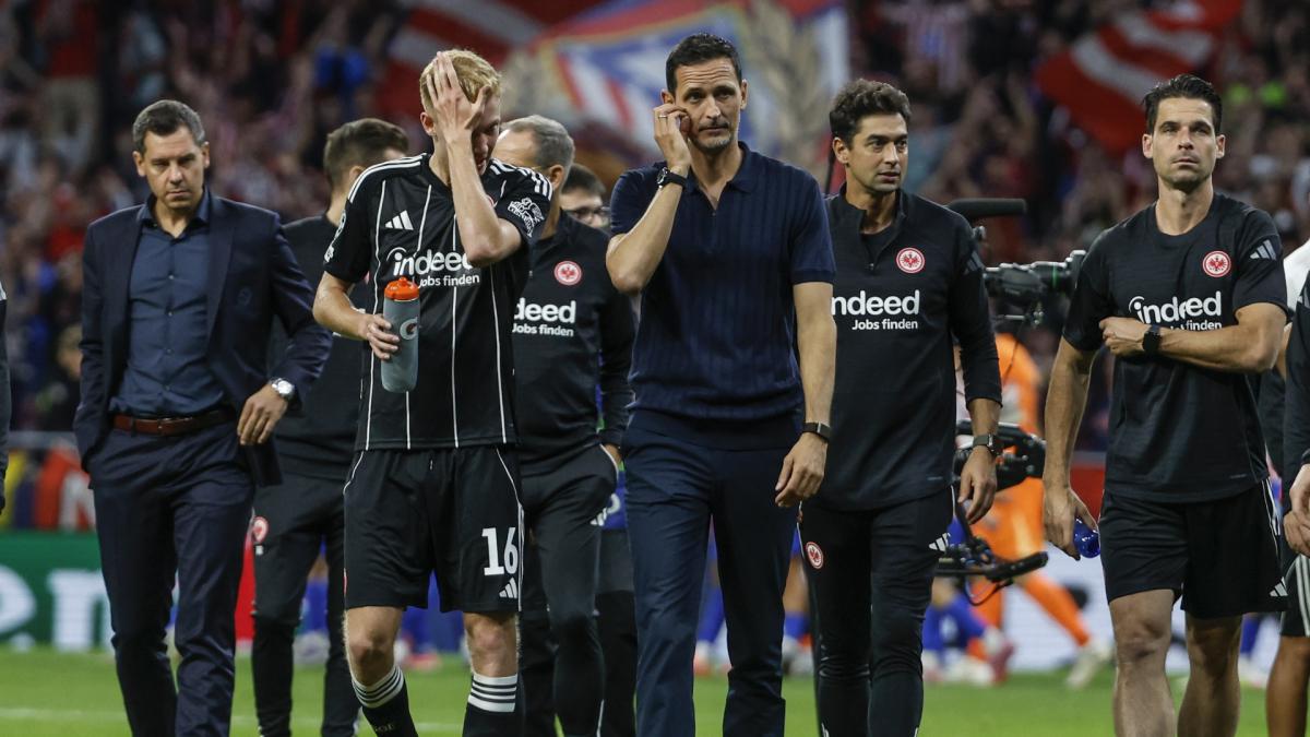 Transfer-News Eintracht Frankfurt