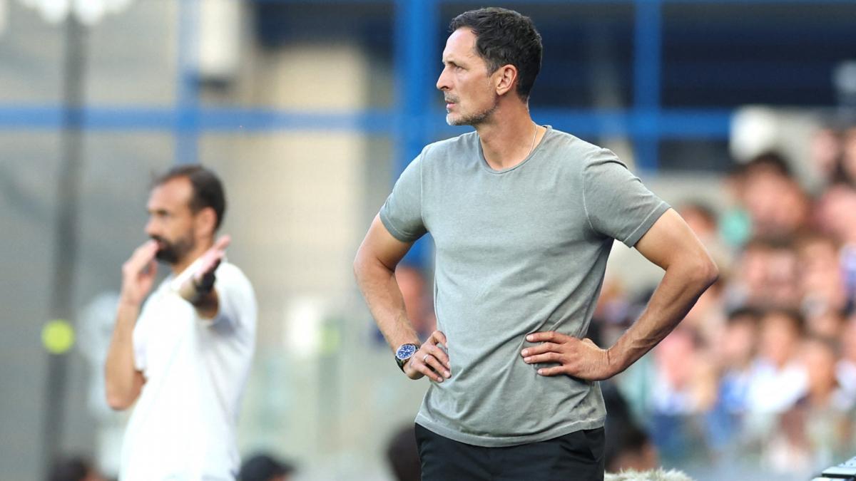Transfer-News