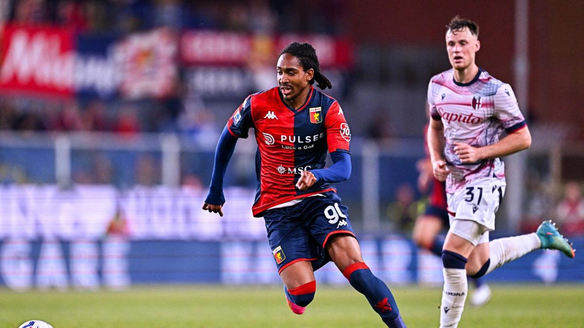 Transfer-News