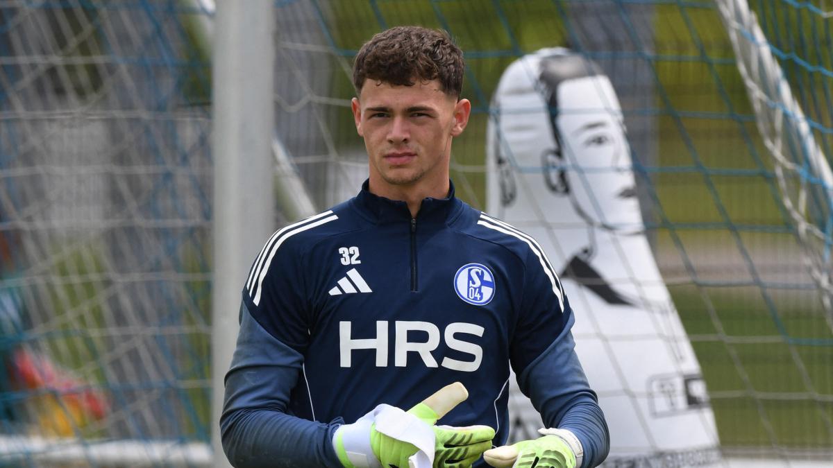 Transfer-News