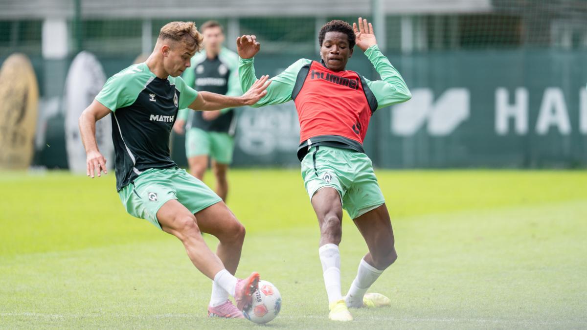 Transfer-News SV Werder Bremen