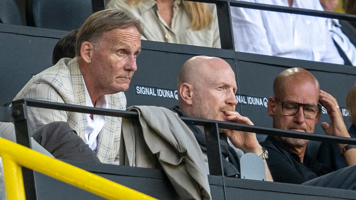 BVB-Die-Bosse-zweifeln-an-den-Bossen