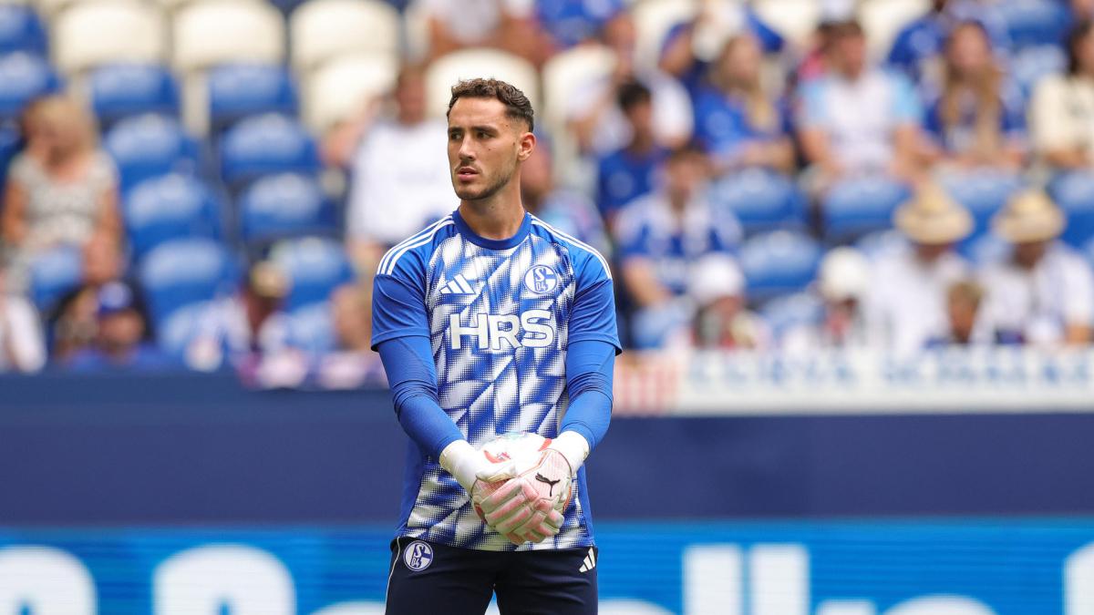 Transfer-News FC Schalke 04