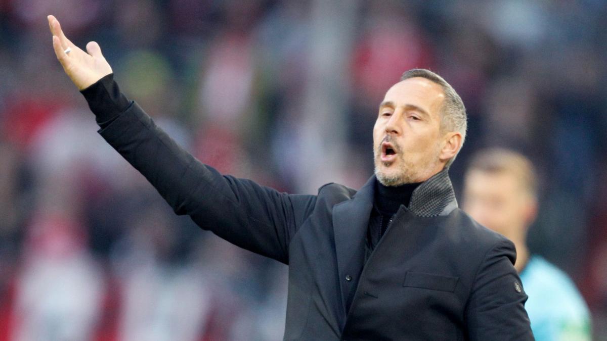 Transfer-News Eintracht Frankfurt